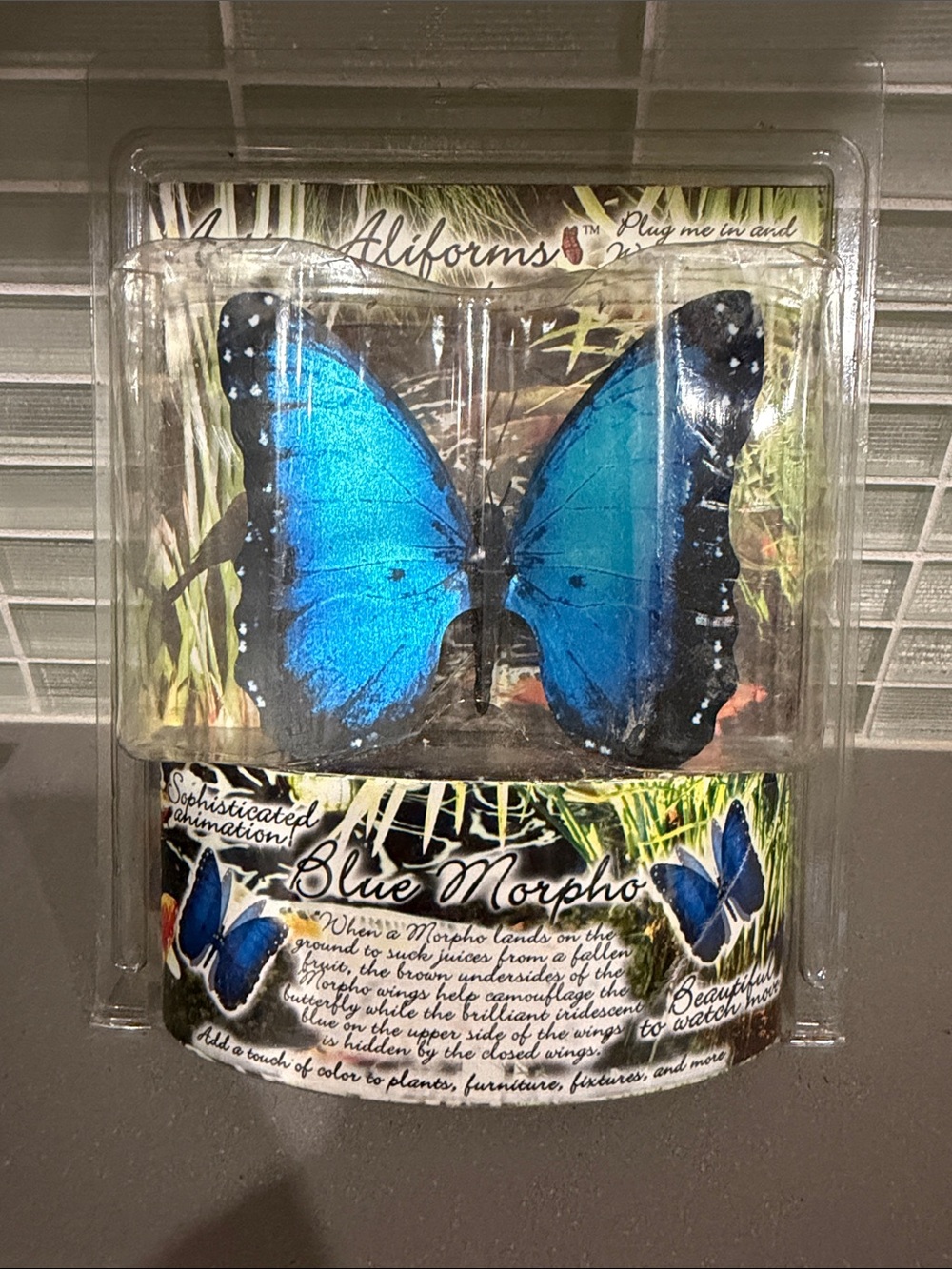 Blue Morpho Decorative butterfly